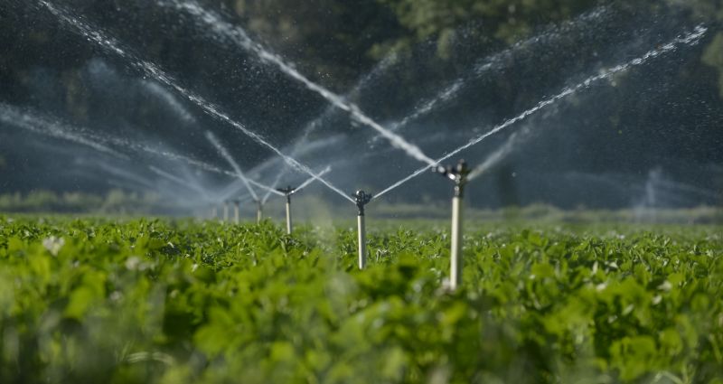Sprinkler System Maintenance Costs — Cost of Sprinkler System Maintenance