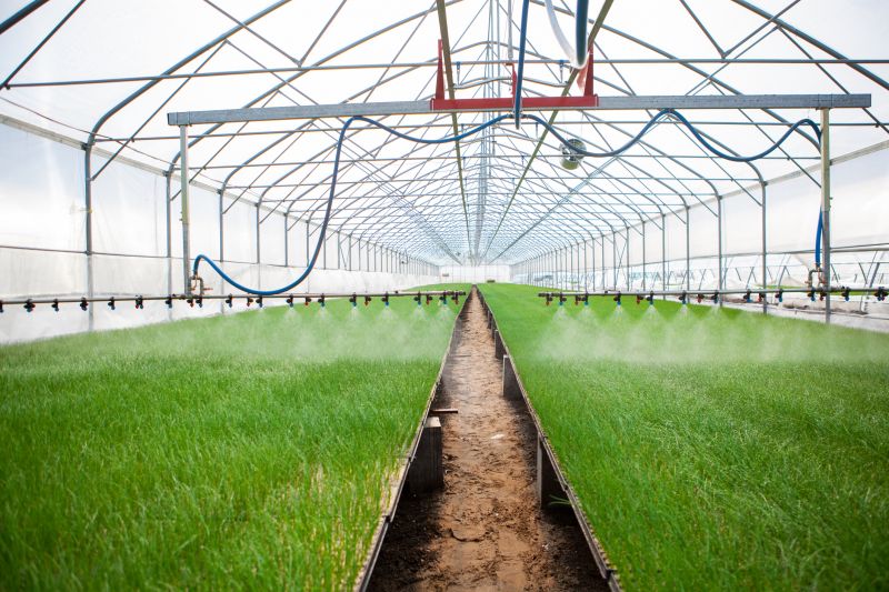 Underground Irrigation Service in Aiken, SC
